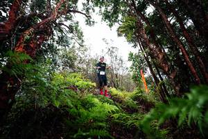 BIB: 
                            <button type="button" onclick="openModal(26201444)" class="btn btn-primary btn-sm float-right btn-popup" data-toggle="modal" data-target=".modal-high-quality">
                        <i class="fas fa-shopping-cart"></i> Add to Cart
                    </button>
                                            <button type="button" onclick="isThisMe(26201444, true)" class="btn btn-success btn-sm float-right btn-popup btn-isme hidden" data-toggle="tooltip" data-placement="bottom" title="นี่คือรูปของคุณใช่ไหม คลิกที่นี่เพื่อเอาเข้าอัลบั้ม">
                        <i class="fas fa-plus"></i> Add to album
                    </button>
                    <button type="button" onclick="isThisMe(26201444, false)" class="btn btn-warning btn-sm float-right btn-popup btn-isnotme hidden">
                        <i class="fas fa-ban"></i> Remove from album
                    </button>